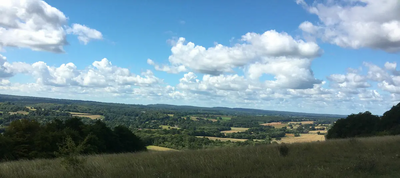 Surrey Hills