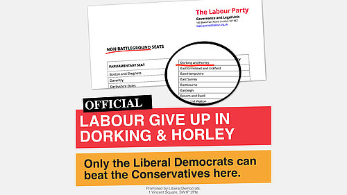 Labour visual