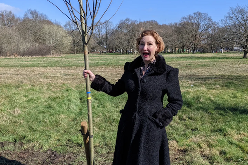 CM tree planting