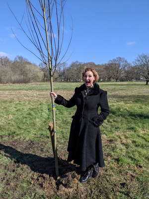 CM tree planting